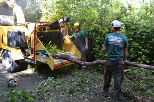 tree services Fairfield